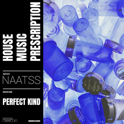 Naatss - Perfect Kind (Extended Mix)