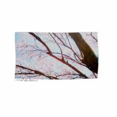 crystal whip (nineteen)