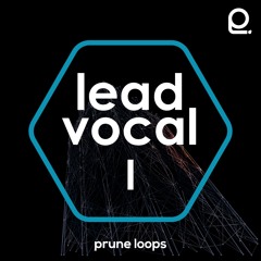 Lead Vocal Vol 1