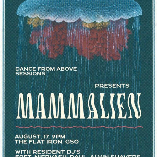 Live @ The Flat Iron 8.17.24