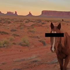 America - A Horse With No Name (Fabu Club Tool)