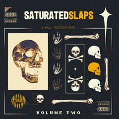 LÄRJ - NOTORIOUS - Saturated Slaps Vol. 2