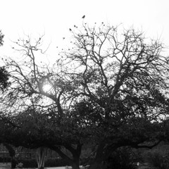 Saware - SLOWED   REVERB Bollywood Sad Song _ Arjit Singh(720P_HD).mp3