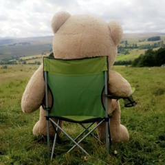 Isn’t This What You Wanted?