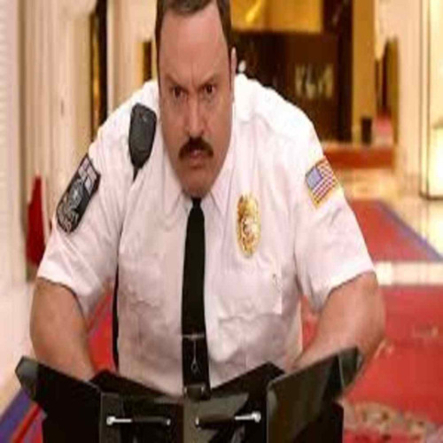 Paulblart
