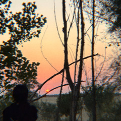 Álvaro Texture at Jaleo Real 2025