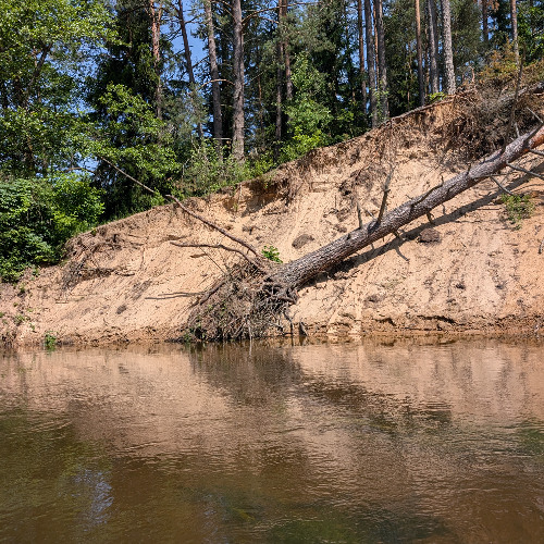 Džiaukitės gyvenimu