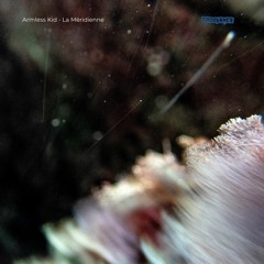 PREMIERE: Armless Kid - La Méridienne [Groovence Discs]