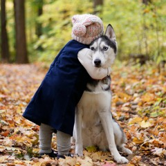 You've got a friend in me violin & guitar duo with Steve McCormack