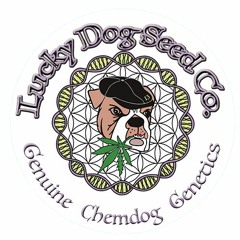 Episode 82 ft Skunk Va of Lucky Dog Seed Co & Lucky Dog Dispensary