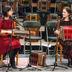 Mälestused Viljandist / Erni Kasesalu