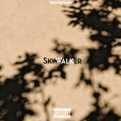 Skywalker