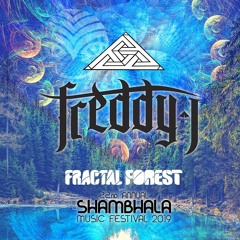 Shambhala 2019 - Freddy J Interview with The Dream Zine