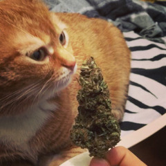 Timran ft Batousai - музыка (slow remix)