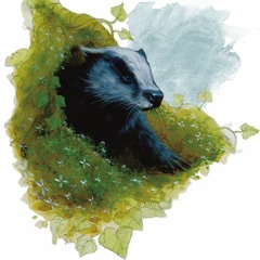 Dungeons and Badgers