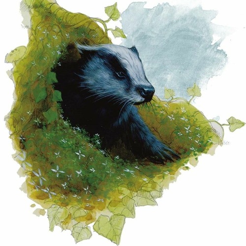 Dungeons and Badgers