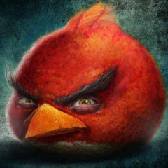 angry bird