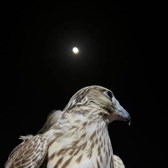 سلام يا أكثر فعل طيب و كف ندي | كاملة