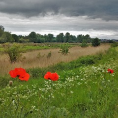 Johann Sebastian Bach