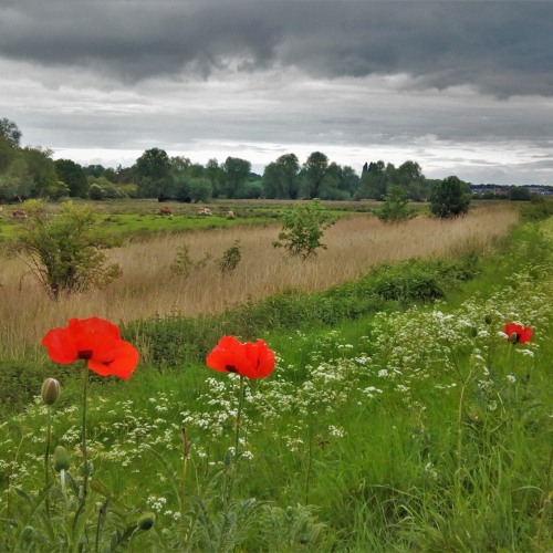 Johann Sebastian Bach