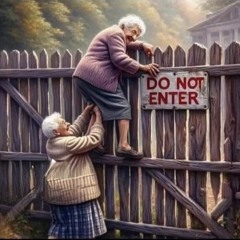 My Generation