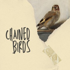 chained birds