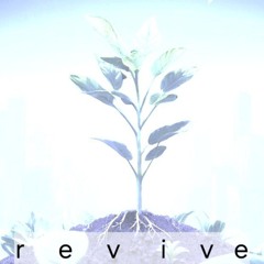 Chasing Grace (REVIVE Reborn)