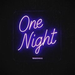 ONE NIGHT