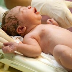 Well- Known Expert in Umbilical Cord Stem Cell Therapy | Dr. David Greene Arizona