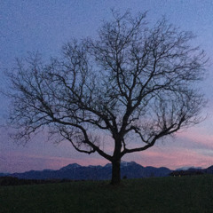 some recommendations