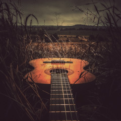 The Songwriter