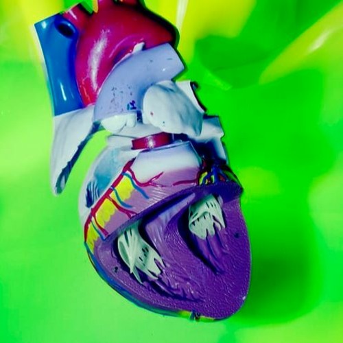 Heart Broke (Prod.By Hxe)