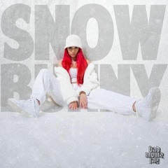 Snowbunny (Skip bis 01:17)