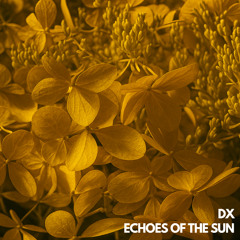 Echoes Of The Sun EP (Snippets) - OUT Now exclusive on Bandcamp!