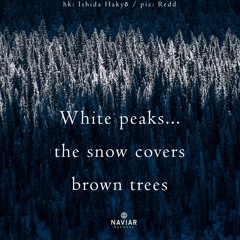 Snow Cover (naviarhaiku 455)