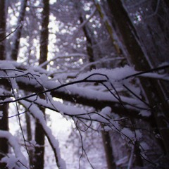 Silent Stars