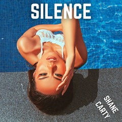 Shane Carty - Silence