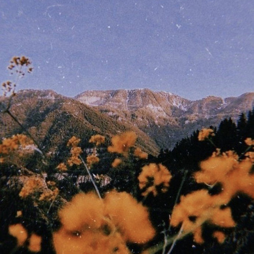 سودانيز باند / ‎⁨يا غريب عن ديارك ⁩