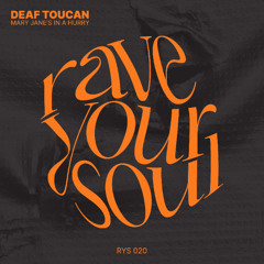 PREMIERE: Deaf Toucan – Amersfoort Express [RYS20]