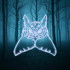 UNVEILED OWLS 04 - KINOKO (FMG GUEST-MIX)