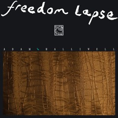 Adam Halliwell - Freedom Lapse - Freedom Lapse