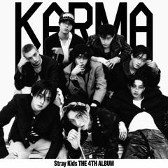 stray kids - ceremony (festival version)