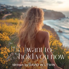 I Don't Want to Hold You Now