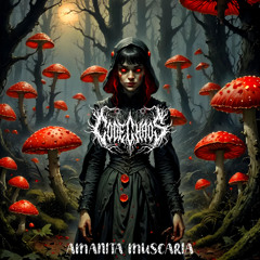 Amanita Muscaria (238) https://fliegenpilz-onlineshop.de/
