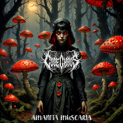 Amanita Muscaria (238) https://fliegenpilz-onlineshop.de/