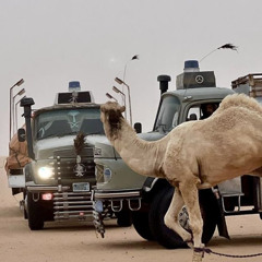 لجل عين أم القعود