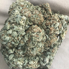 KiCK BACK    FT PaYmiO × OEZ