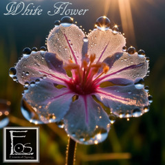 White Flower (d)_4