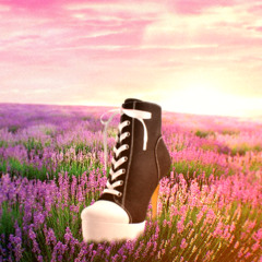 Purple Fields, Converse Heels