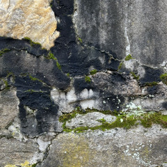 Bended Body Branches